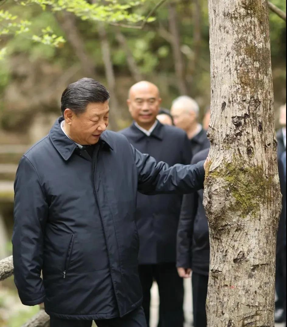湖南绿楷节能环保科技有限公司,湖南土壤污染修复,污水处理工程,农业污染治理,环保工程 湖南绿楷节能环保科技有限公司,湖南土壤污染修复,污水处理工程,农业污染治理,环保工程