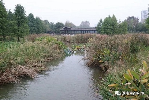 湖南绿楷节能环保科技有限公司,湖南土壤污染修复,污水处理工程,农业污染治理,环保工程